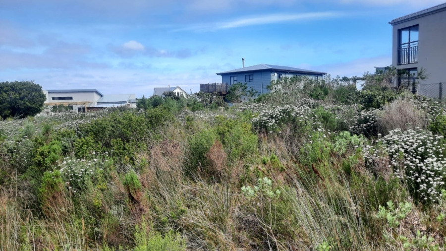 0 Bedroom Property for Sale in Bettys Bay Western Cape